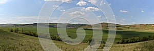 Landscape of the reed natural reserve from Sic, Romania. photo